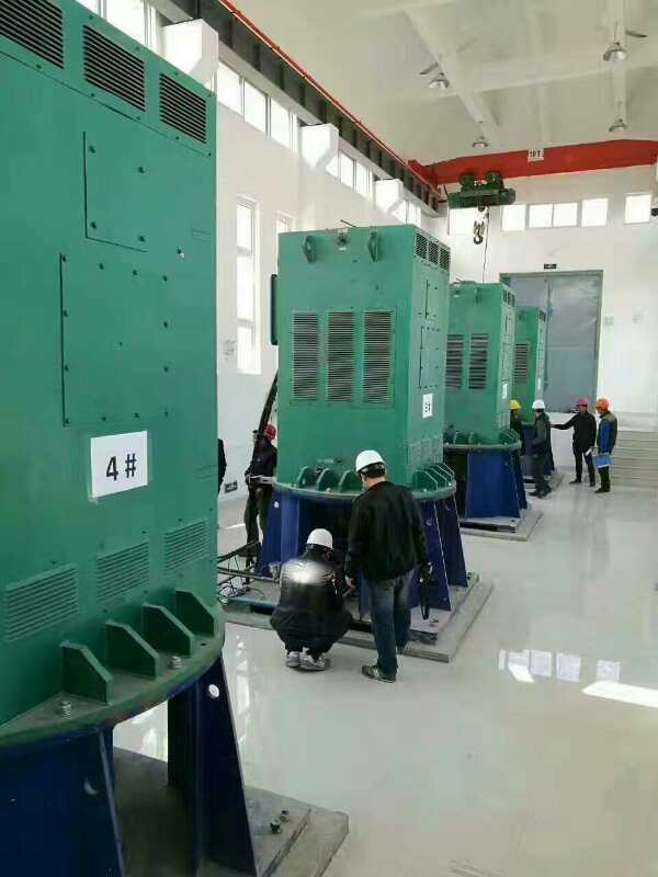 Y5601-6某污水处理厂使用我厂的立式高压电机安装现场