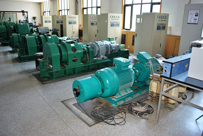 Y5601-6某热电厂使用我厂的YKK高压电机提供动力