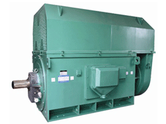 Y5601-6YKK系列高压电机